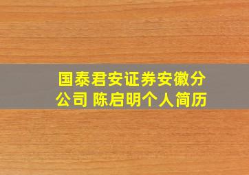 国泰君安证券安徽分公司 陈启明个人简历